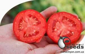 Томат Керо F1 1 000 семена Esasem Томат Керо F1 1 000 семена Esasem