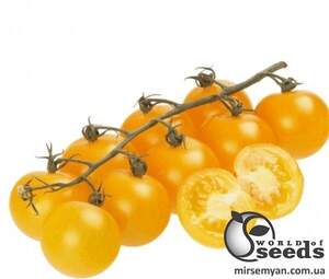 Томат Стар Голд F1 250 семена Esasem