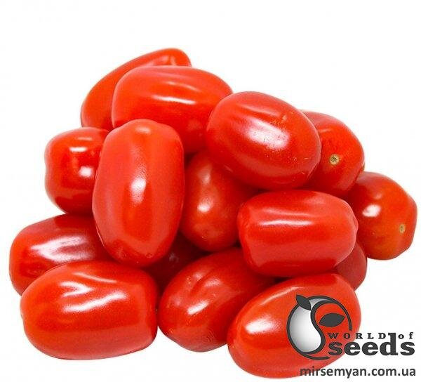 Томат Талант F1 1 000 семена Esasem Томат Талант F1 1 000 семена Esasem