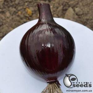 Цибуля Зен F1 100 000 семена Esasem Цибуля Зен F1 100 000 семена Esasem