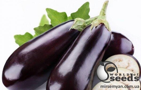 Баклажан KS 5070 F1 100 нас. (Kitano seeds) Баклажан KS 5070 F1 100 нас. (Kitano seeds)