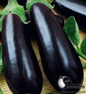 Баклажан KS 5070 F1 100 нас. (Kitano seeds) Баклажан KS 5070 F1 100 нас. (Kitano seeds)