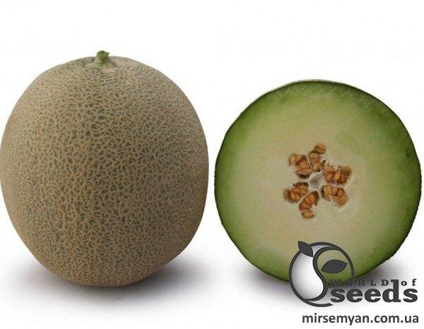 Диня KS 7044 F1, 100 нас, (KITANO) Диня KS 7044 F1, 100 нас, (KITANO)