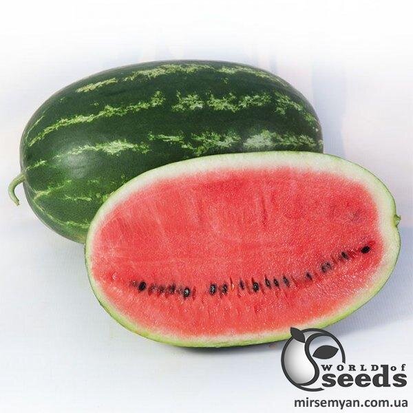 Кавун KS 632 F1, 100 семена Кітано, (KITANO Seeds) Кавун KS 632 F1, 100 семена Кітано, (KITANO Seeds)
