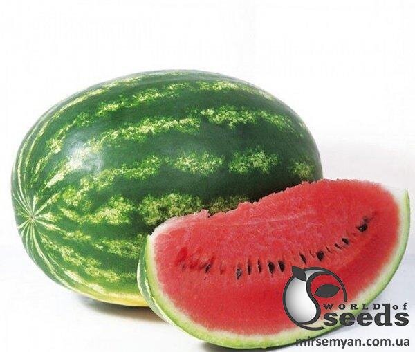Кавун KS 633 F1, 100 семена Кітано, (KITANO Seeds) Кавун KS 633 F1, 100 семена Кітано, (KITANO Seeds)