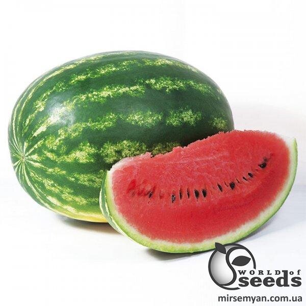 Кавун Найсі F1, 1 000 семена Кітано, (KITANO Seeds) Кавун Найсі F1, 1 000 семена Кітано, (KITANO Seeds)