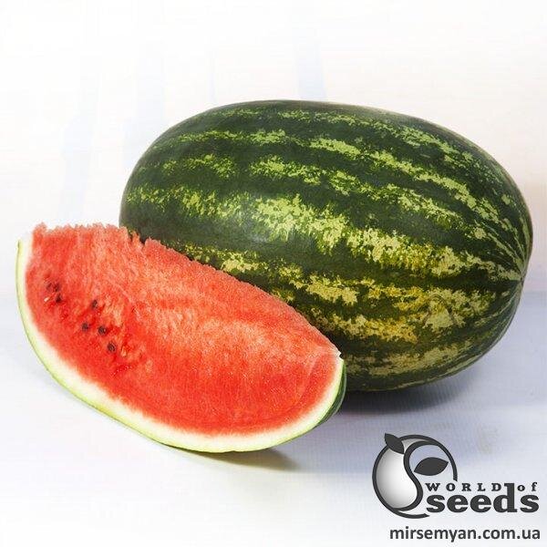 Кавун Шейні F1, 1 000 семена Кітано, (KITANO Seeds) Кавун Шейні F1, 1 000 семена Кітано, (KITANO Seeds)