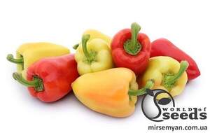 Насіння перцю солодкого Яніка F1 / Yanika F1,  250 нас. (Kitano)