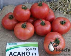 Насіння томату Асано F1 1 000 сем , Kitano/Китано