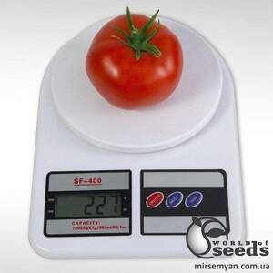 Насіння томату Камі F1 500 сем , Kitano/Китано Насіння томату Камі F1 500 сем , Kitano/Китано