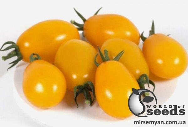 Насіння томату KS 3690 F1 250 нас, (Китано) Насіння томату KS 3690 F1 250 нас, (Китано)