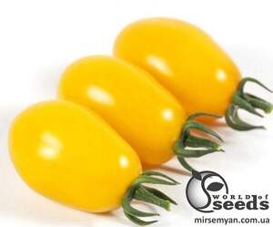 Насіння томату KS 3690 F1 250 нас, (Китано)