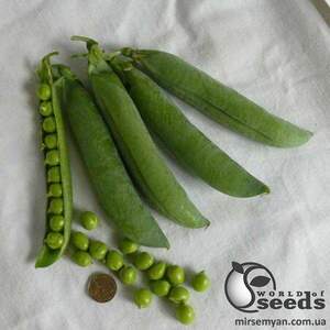 Горох "Роялсайз F1" 2 500 семена Lark Seesd USA