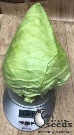 Капуста Агро F1 2 500 сім. Lark Seesd USA
