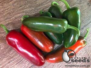 Насіння перцю гіркого Джин F1 500 с. Lark Seesd USA Насіння перцю гіркого Джин F1 500 с. Lark Seesd USA