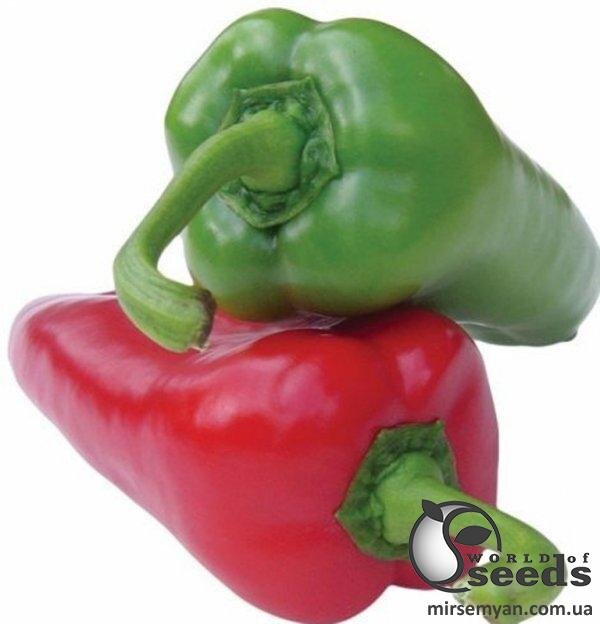 Насіння перцю Магус F1 500 с. Lark Seesd USA Насіння перцю Магус F1 500 с. Lark Seesd USA
