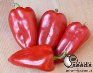 Насіння перцю Магус F1 500 с. Lark Seesd USA Насіння перцю Магус F1 500 с. Lark Seesd USA