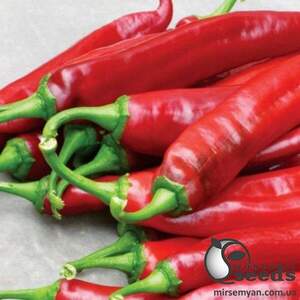 Насіння перцю гіркого Хірош F1 1000 нас. (Lark Seesd USA)