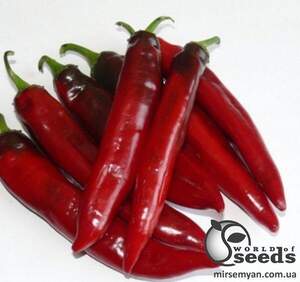 Насіння перцю гіркого Шарп F1 500 нас. (Lark Seesd USA)