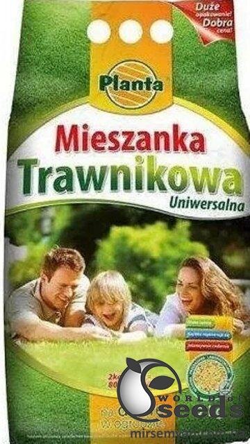 Трава газонна Трава газонна