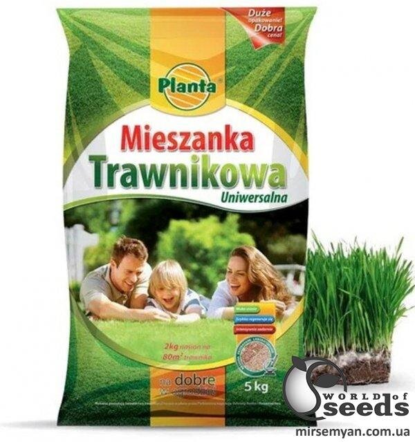 Трава газонна Трава газонна