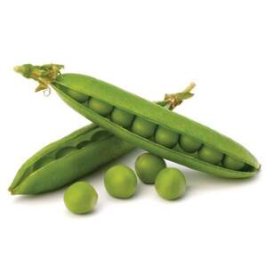 Горох Ідальго 1 кг. Syngenta Горох Ідальго 1 кг. Syngenta