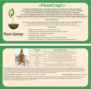 РизоСтарт- інокулянт для бобових 1 кг РизоСтарт- інокулянт для бобових 1 кг