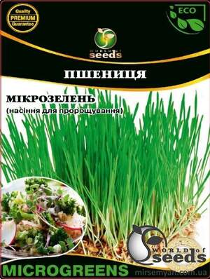 Насіння Мікрозелень Пшениці, Мікрогрін 20г WoS