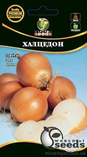 Насіння цибулі Халцедон 50 г WoS