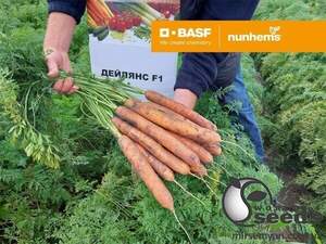 Насіння моркви Дейлянс F1/Deylyans F1 (1,4-1,6 мм) 100 000 сем. Нунемс (Nunhems)