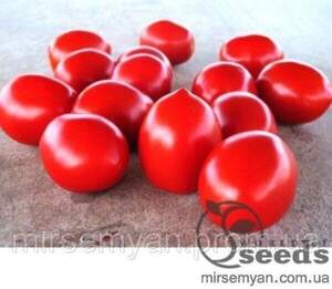 Томат «Ред Скай» F1 1000 семена Нунемс (Nunhems)
