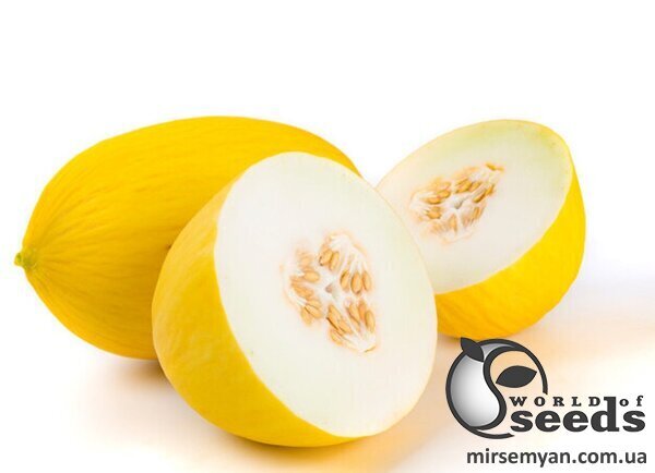 Диня Азілал F1, Rijk Zwaan, 1000 с. Диня Азілал F1, Rijk Zwaan, 1000 с.