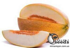 Диня Каліна F1, Rijk Zwaan, 1000 с.