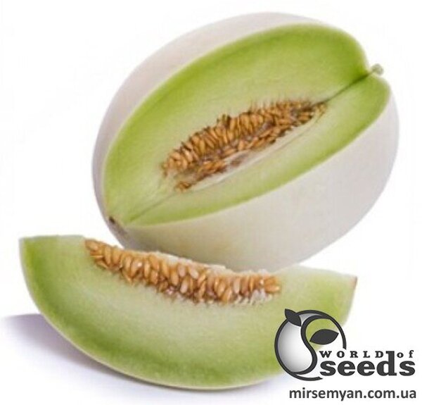 Диня Санвісенте F1, Rijk Zwaan, 100 с. Диня Санвісенте F1, Rijk Zwaan, 100 с.