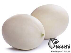 Диня Санвісенте F1, Rijk Zwaan, 100 с. Диня Санвісенте F1, Rijk Zwaan, 100 с.