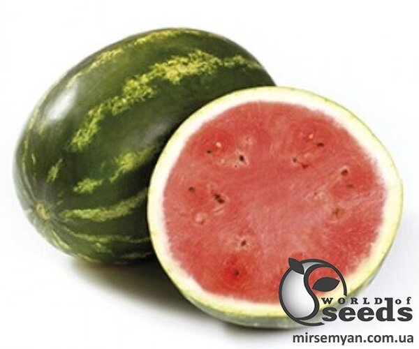 Кавун Бретона F1, Rijk Zwaan, 100 с. Кавун Бретона F1, Rijk Zwaan, 100 с.