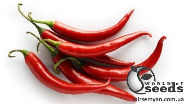 Перець гострий Черай F1 250 с, HAZERA (Хазера) Перець гострий Черай F1 250 с, HAZERA (Хазера)