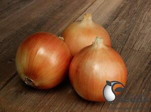 Насіння цибулі Спеніш Медальйон F1 250 000 с., Sakata