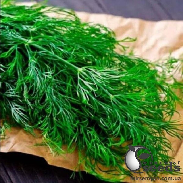 Насіння кропу Луго 100 г. Solare Sementi Насіння кропу Луго 100 г. Solare Sementi