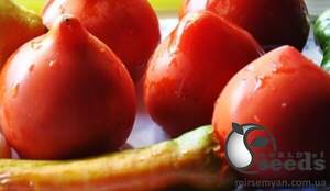 Насіння томату Тапер F1 500 с. Solare Sementi