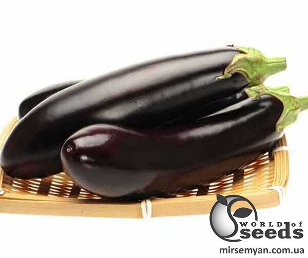 Баклажан Найт Леді F1 1000 нас. (United Genetics) Баклажан Найт Леді F1 1000 нас. (United Genetics)