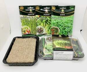 Мікрозелень НАБІР Злаковий (пшениця, просо, льон) WoS