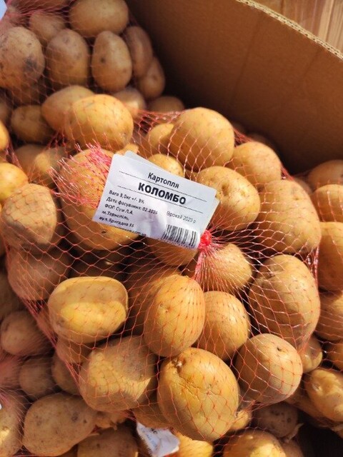 Картофель семенной Коломбо 3 кг (1 репродукция) Картофель семенной Коломбо 3 кг (1 репродукция)