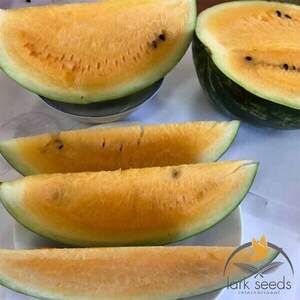 Арбуз Оранж Лакшері F1 / Orange Luxury F1  5 семян.   А