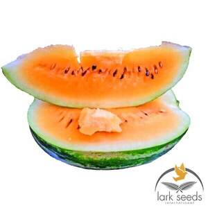 Кавун Оранж Лакшері F1 / Orange Luxury F1 5 семена А Кавун Оранж Лакшері F1 / Orange Luxury F1 5 семена А