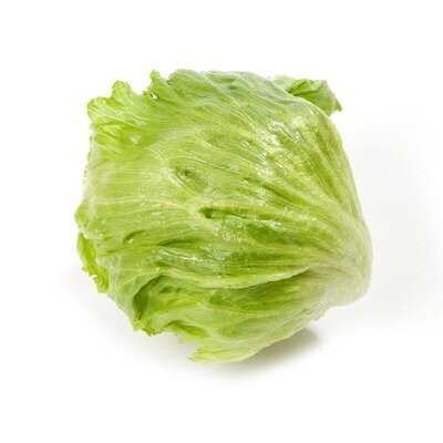 Салат Робинсон тип Айсберг 1000 семян. (драже) HAZERA Салат Робинсон тип Айсберг 1000 семян. (драже) HAZERA