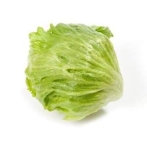 Салат Робинсон тип Айсберг 1000 семян. (драже) HAZERA