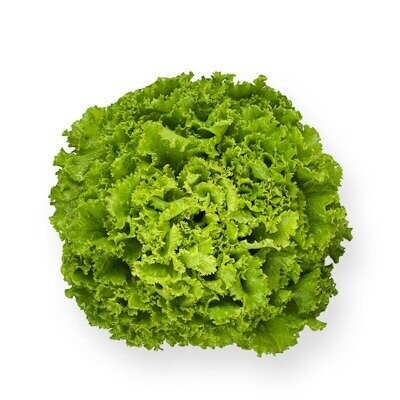 Салат Драгон 1000 драже. Hazera Салат Драгон 1000 драже. Hazera