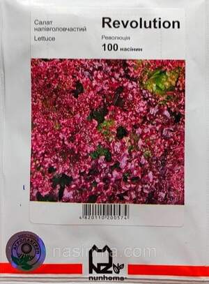 Салат Салат