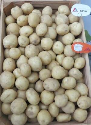 Картопля насіннєва Ультрарання  Рів'єра/ Riviera 3 кг (1 репродукція)